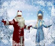 Дед Мороз и Снегурочка на дом!!!